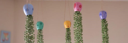Color and Greenery - Elevate Your Mood at Home - JellyfishParty