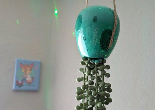 jellyfish hanging succulent - seafoam green - JellyfishParty