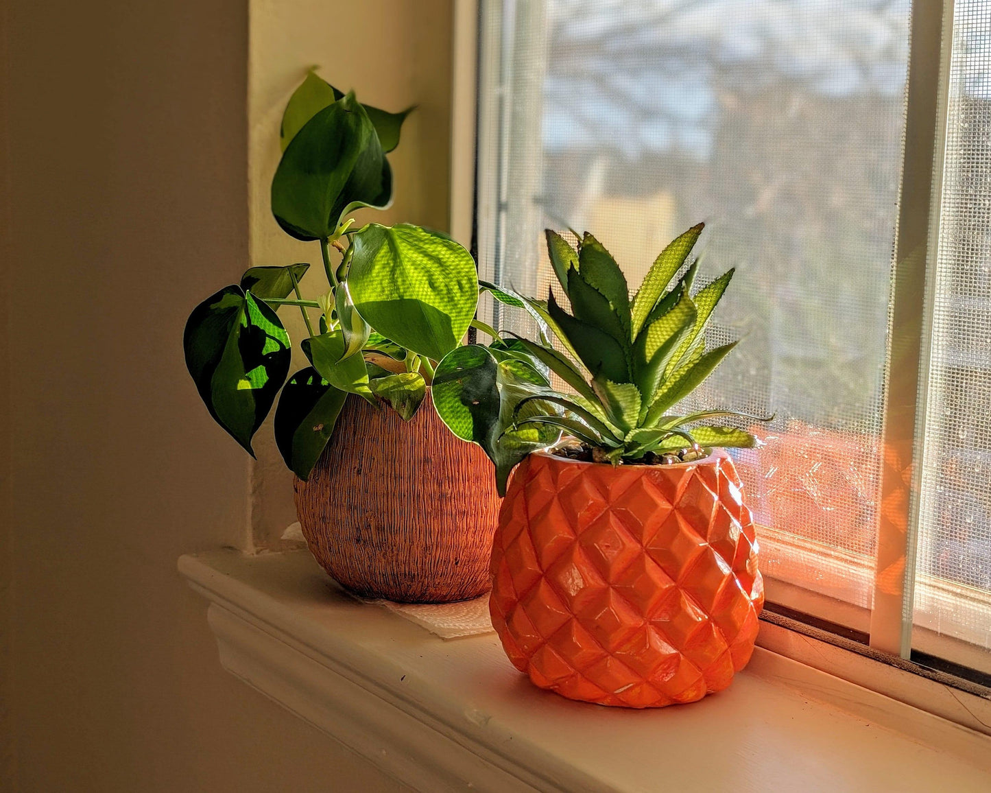 pineapple plant - beach house decor - JellyfishParty
