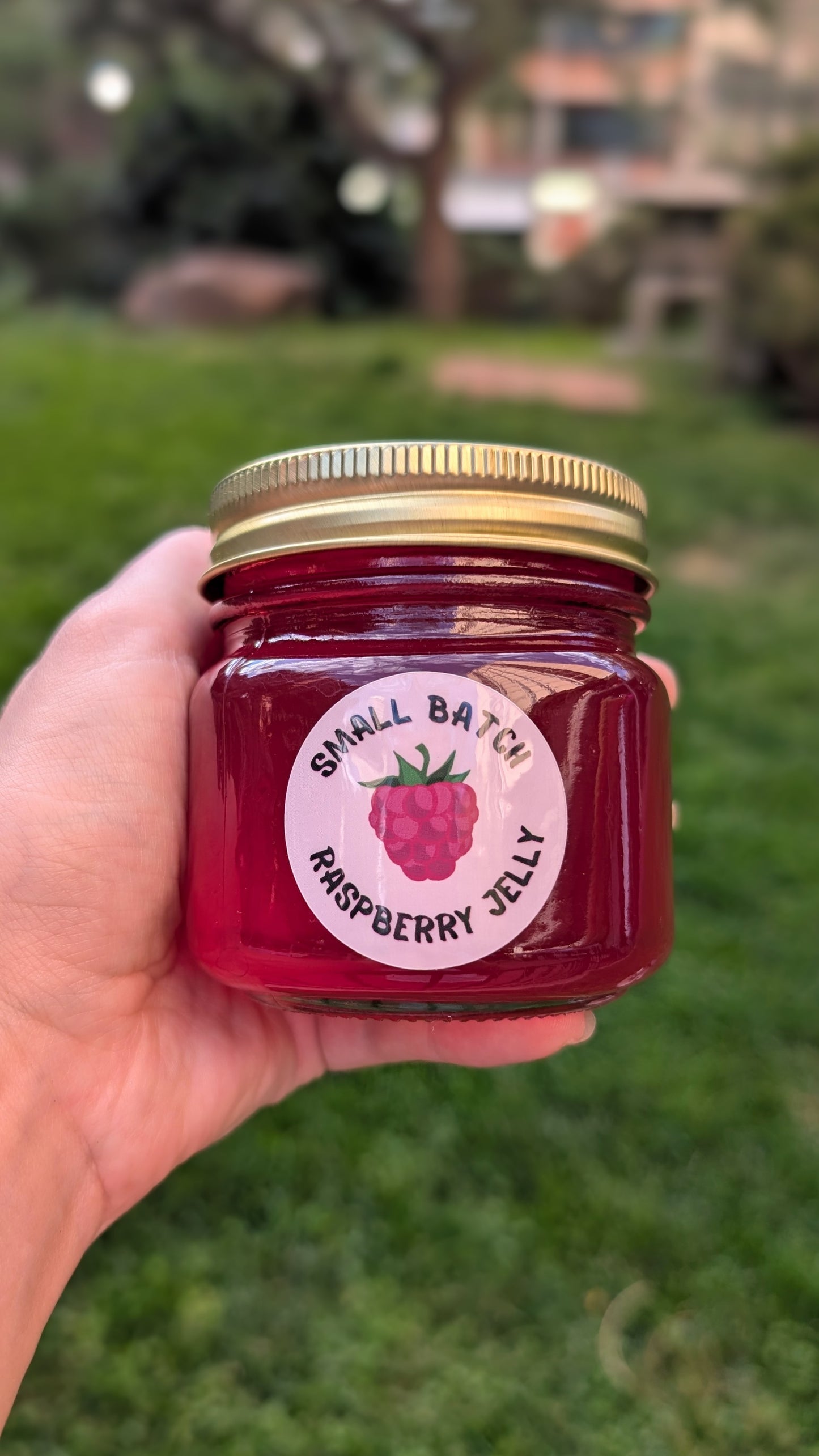 NEEDMOREJELLY Raspberry Jelly