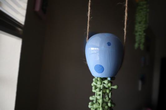 blue jellyfish succulent hanging plant created by jellyfishparty