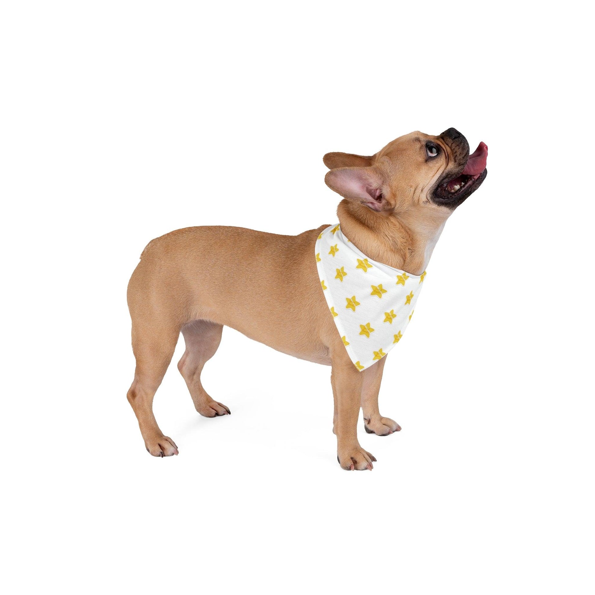 good noodle pet bandana - JellyfishParty