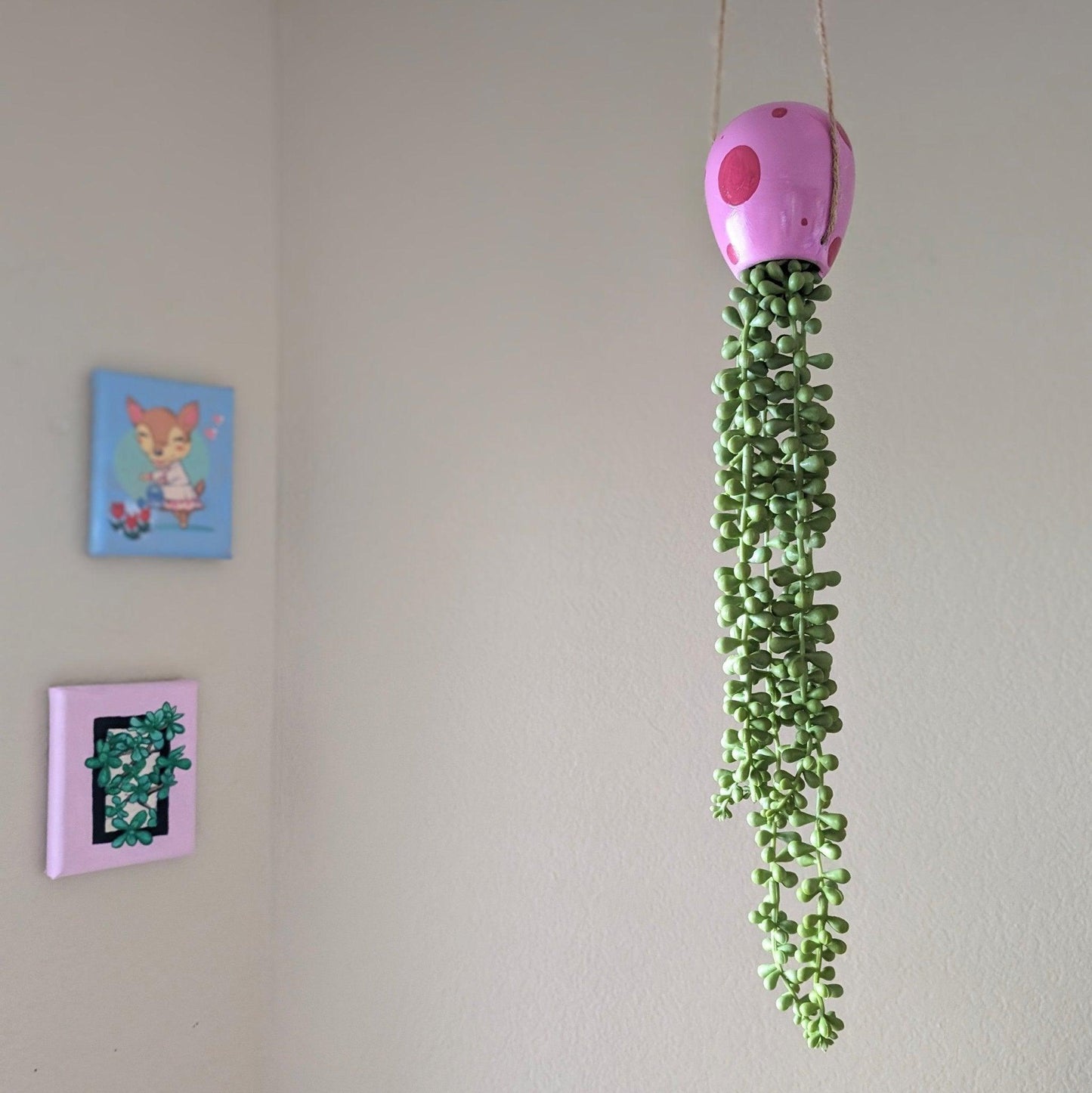 jellyfish hanging succulent - pump up the party pink - JellyfishParty