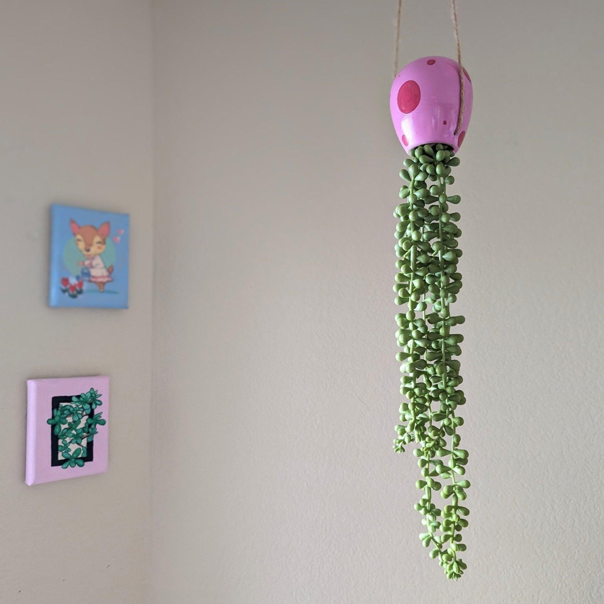 jellyfish hanging succulent - pump up the party pink - JellyfishParty