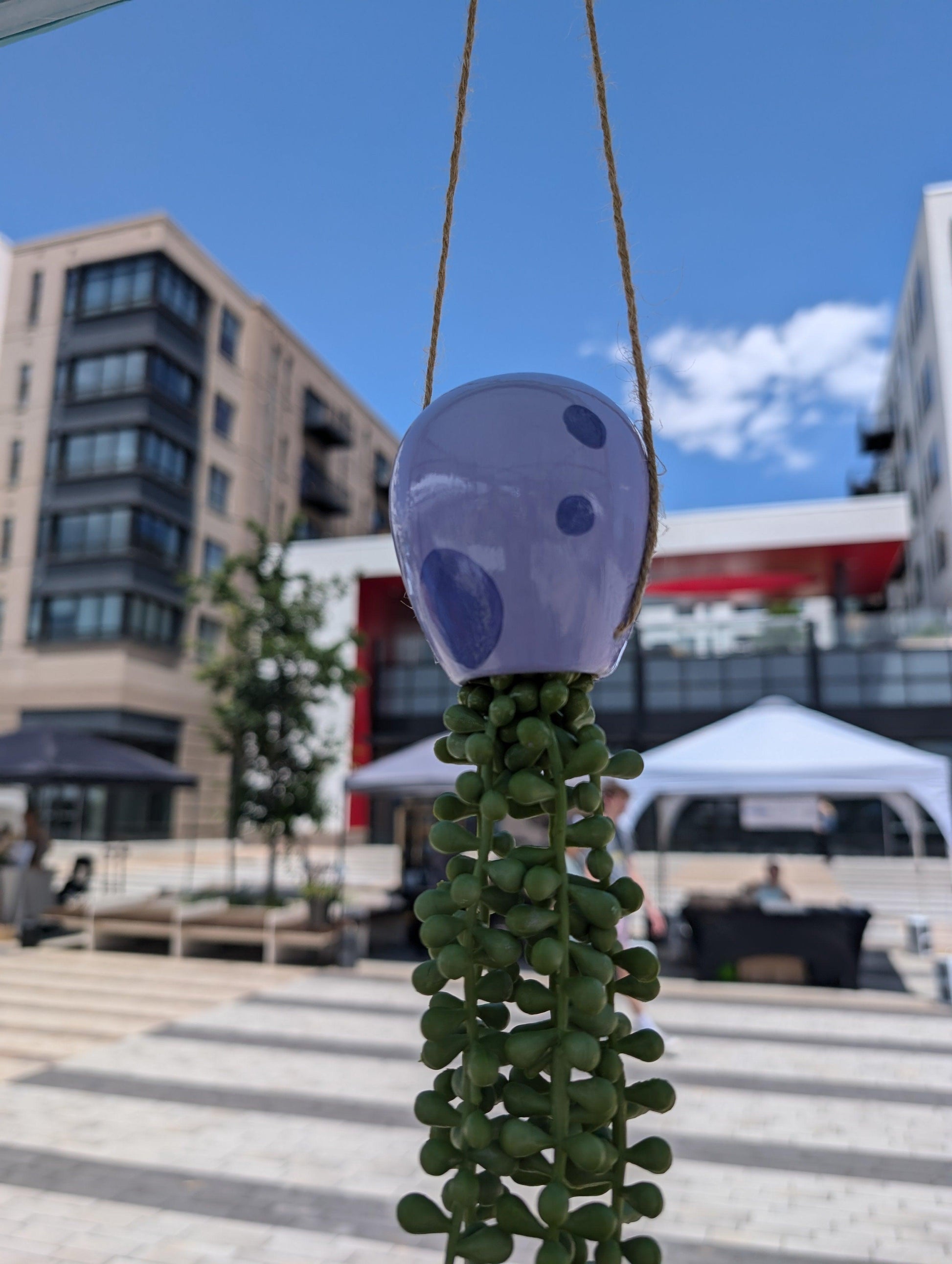 jellyfish hanging succulent - lavender love - JellyfishParty