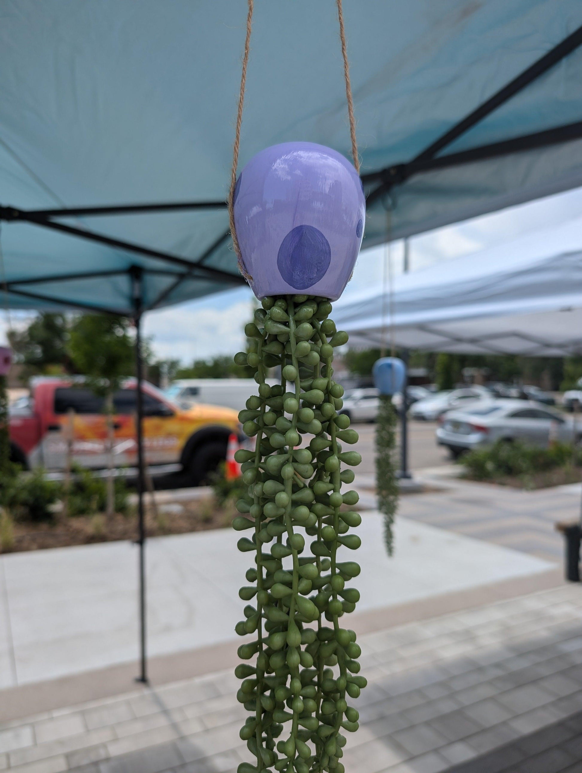 jellyfish hanging succulent - lavender love - JellyfishParty