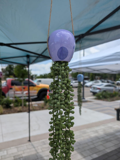 jellyfish hanging succulent - lavender love - JellyfishParty