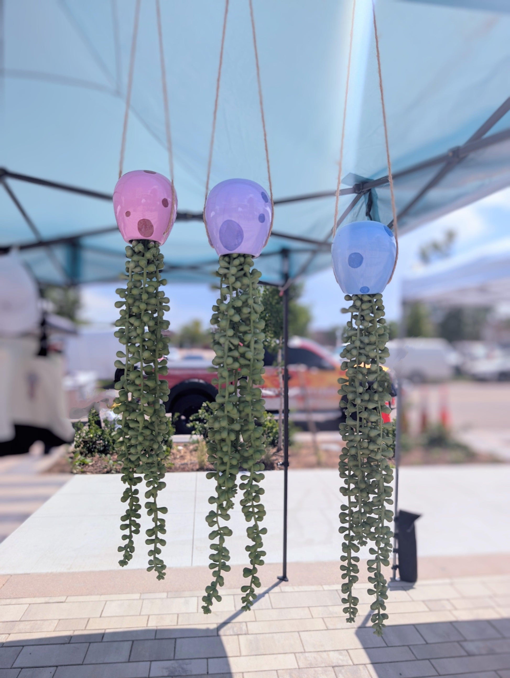 jellyfish hanging succulent - electric blue - JellyfishParty