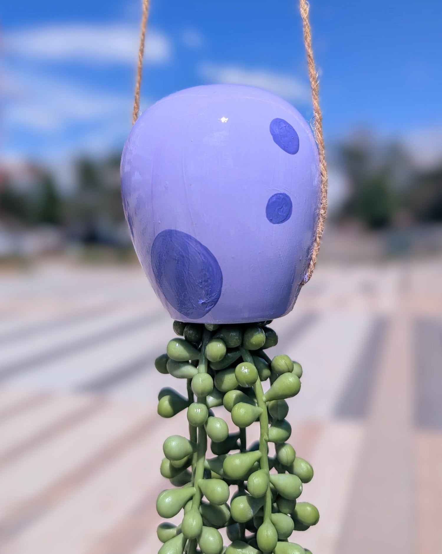 jellyfish hanging succulent - lavender love - JellyfishParty