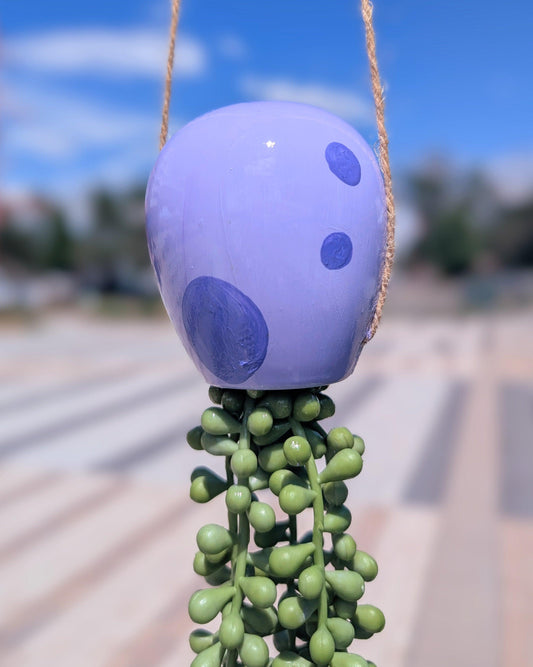 jellyfish hanging succulent - lavender love - JellyfishParty