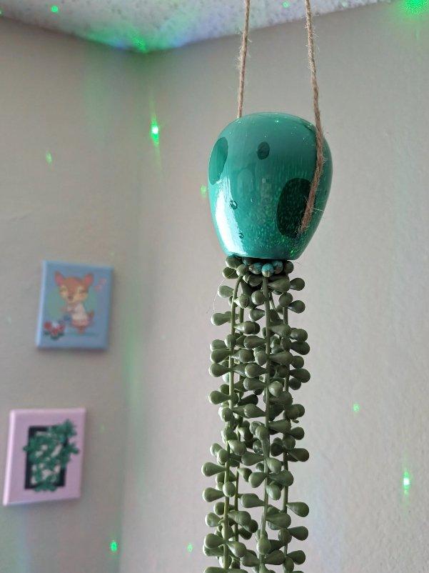 jellyfish hanging succulent - seafoam green - JellyfishParty