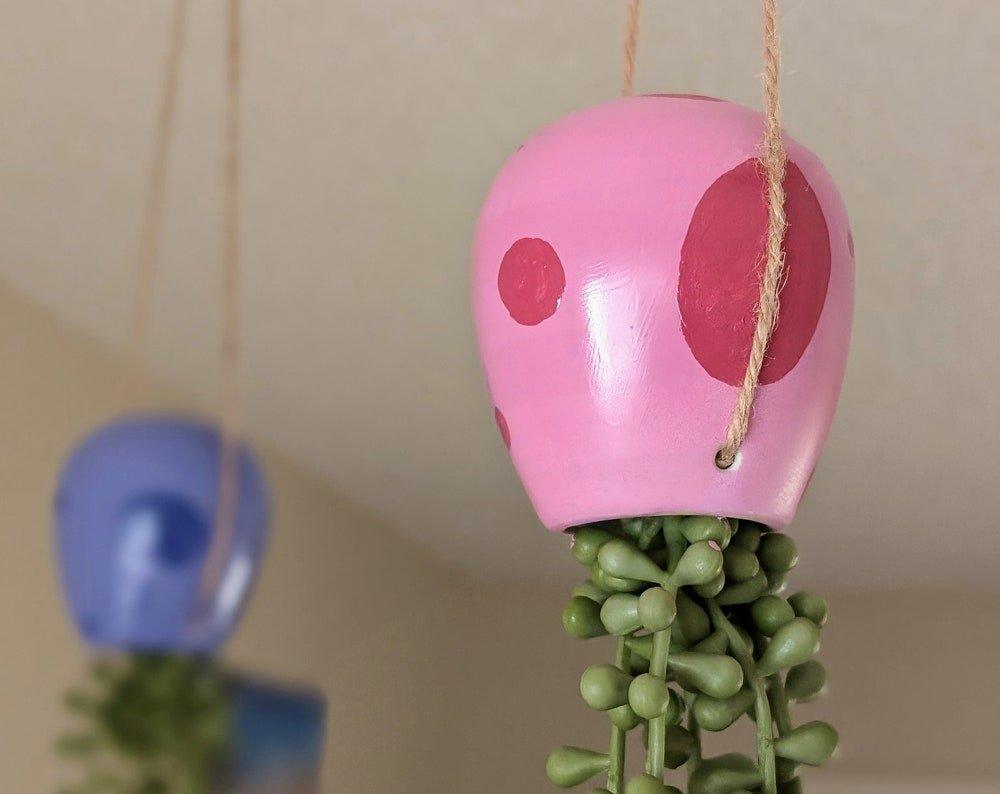 jellyfish hanging succulent - pump up the party pink - JellyfishParty