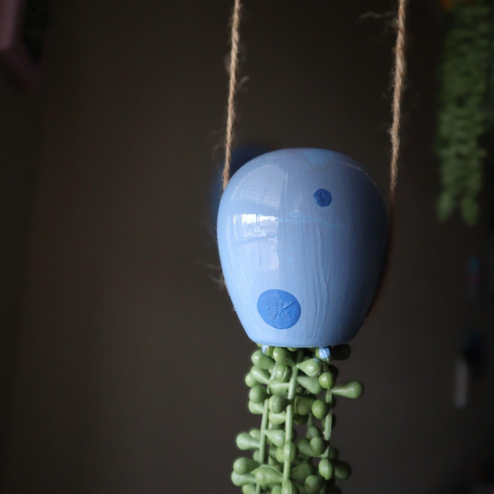 jellyfish hanging succulent - electric blue - JellyfishParty