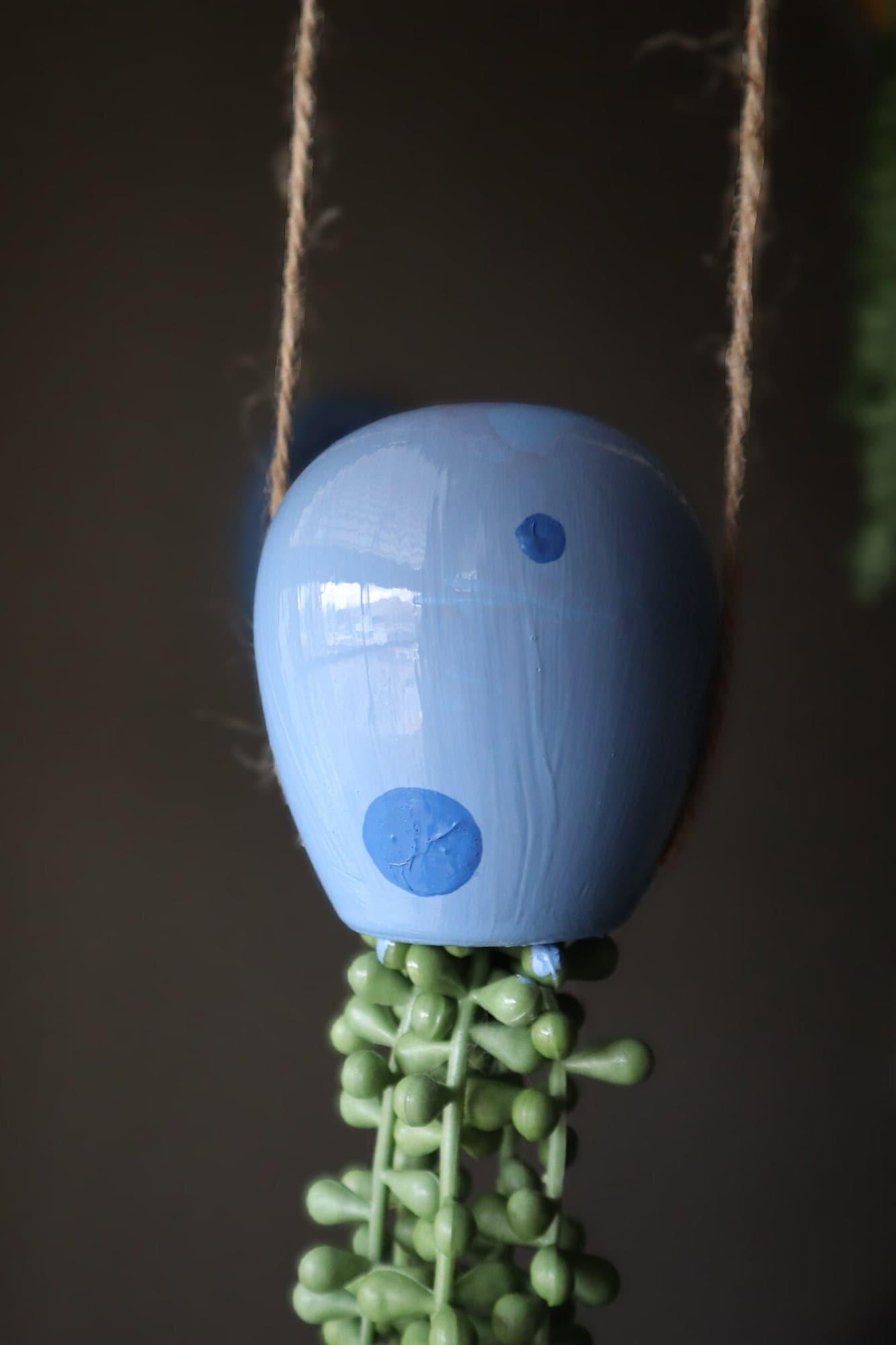 jellyfish hanging succulent - electric blue - JellyfishParty