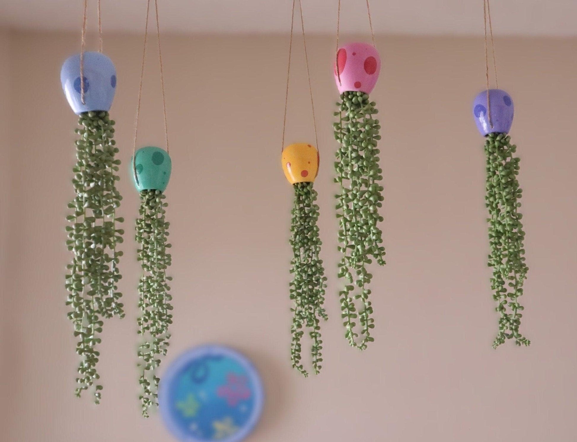 jellyfish hanging succulent - lavender love - JellyfishParty