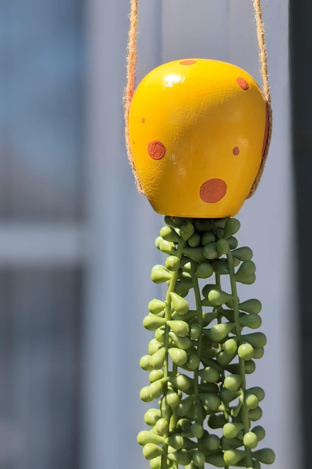 jellyfish hanging succulent - sponge yellow - JellyfishParty