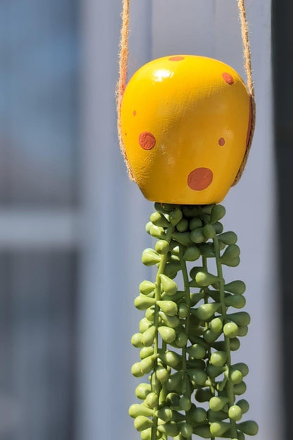 jellyfish hanging succulent - sponge yellow - JellyfishParty