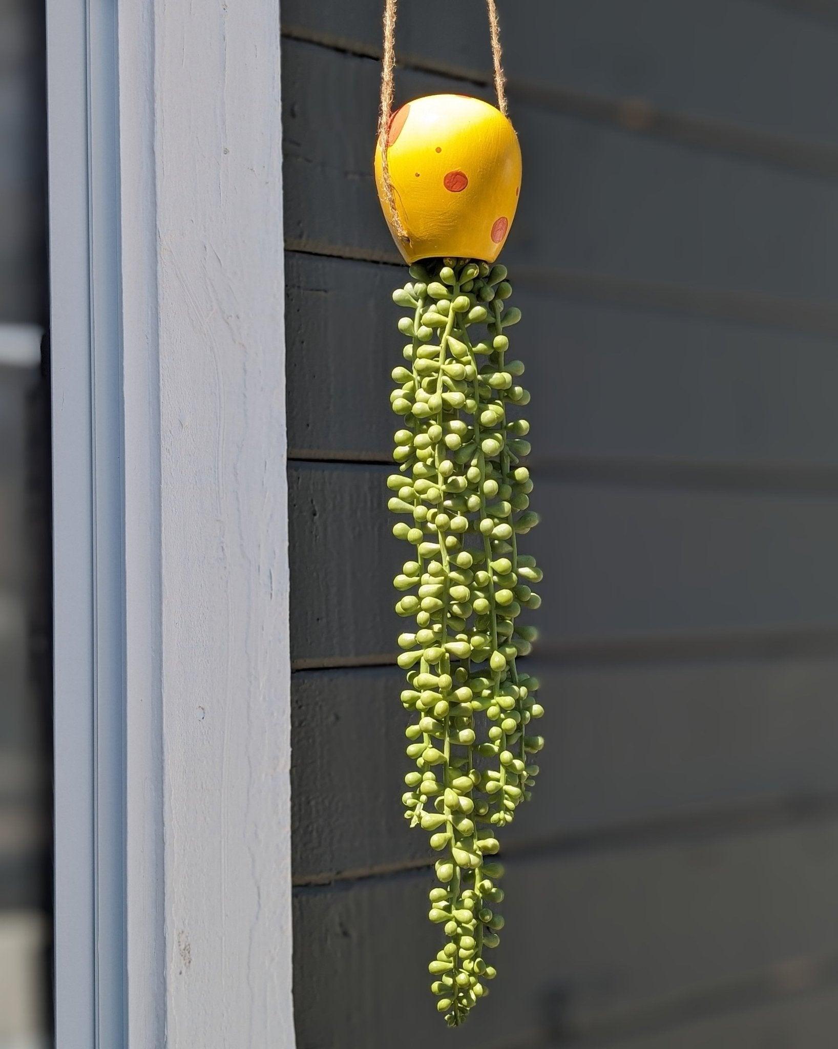 jellyfish hanging succulent - sponge yellow - JellyfishParty