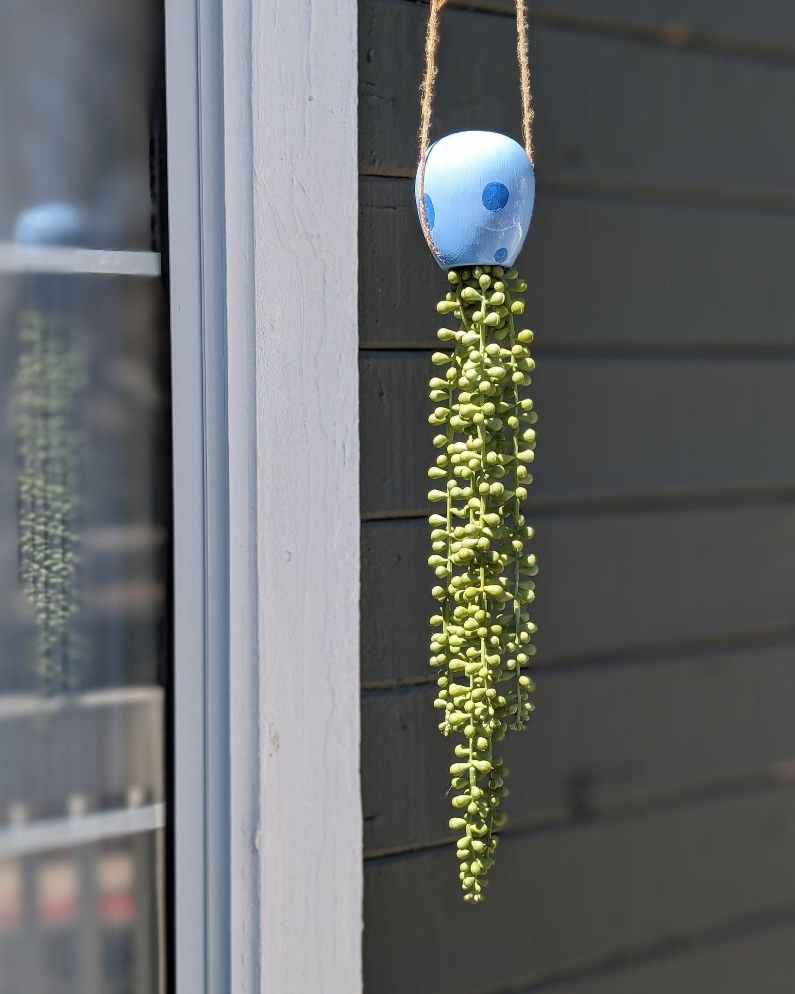 jellyfish hanging succulent - electric blue - JellyfishParty