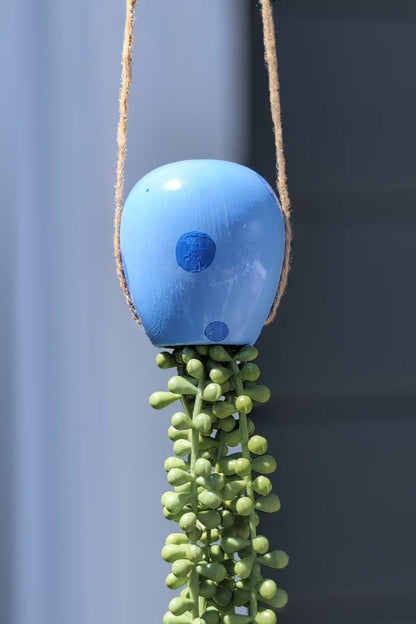 jellyfish hanging succulent - electric blue - JellyfishParty