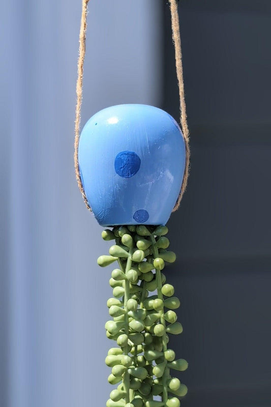 jellyfish hanging succulent - electric blue - JellyfishParty