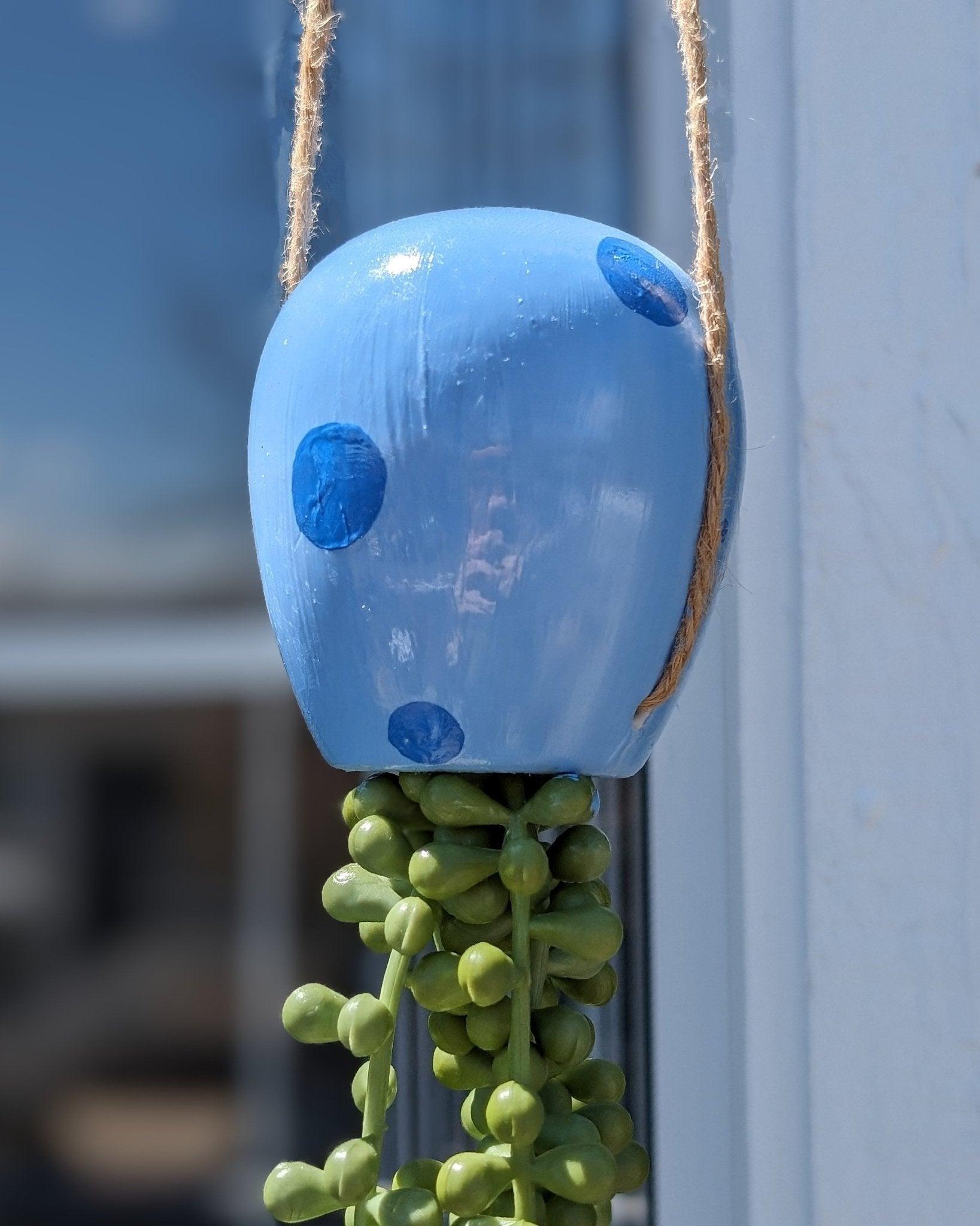jellyfish hanging succulent - electric blue - JellyfishParty