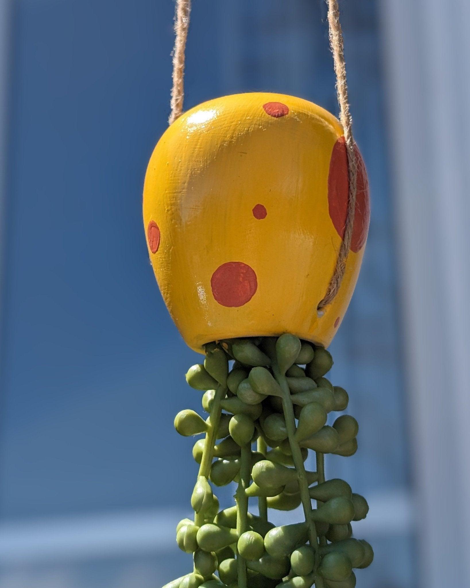 jellyfish hanging succulent - sponge yellow - JellyfishParty