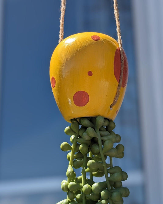 jellyfish hanging succulent - sponge yellow - JellyfishParty