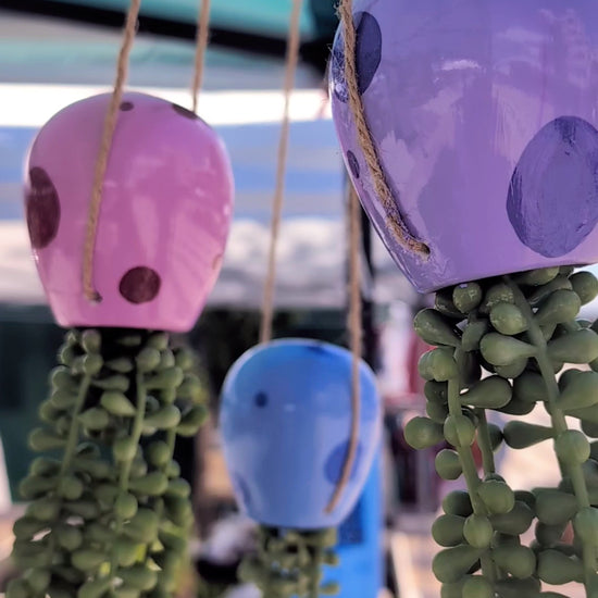 blue, pink and lavender colored painted jellyfish succulents with faux string of pearls swaying outside under a blue canopy