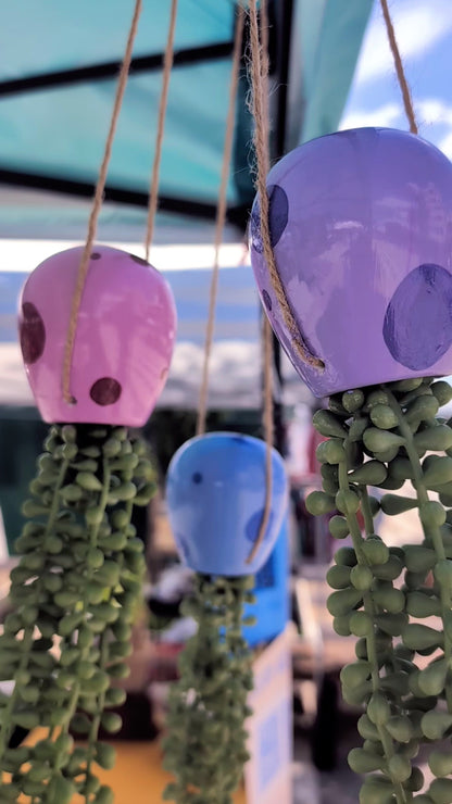 blue, pink and lavender colored painted jellyfish succulents with faux string of pearls swaying outside under a blue canopy