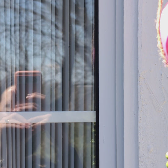 vertical video of pink, yellow, green, blue and purple jellyfish succulents swinging one by one outside in the sunshine